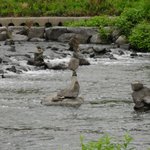 <b>돌탑</b>의 신