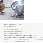 비둘기 새끼가 참새라구요? ㅋㅋㅋ 돋네