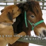 　　★직장인★ 지루하거나 <b>재미</b>지는걸 원할때