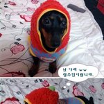 ㄴㅐ겐너무나 자그마한 <b>house</b>