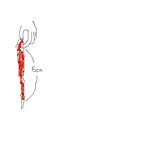 교정하는여자로살아간다는것.