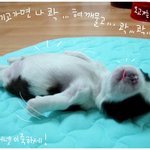 파리 바게★의 <b>남녀차별</b> 휴가