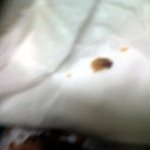 <b>애벌</b>래 먹을뻔한...여친..