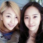 f(x) <b>루나</b> 얼굴에서 보아가 보여?