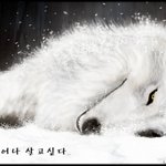 올한해 집안에 액운이 제대로 꼈습니다....