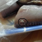 대형마트에서 <b>생선</b>을샀는데 기생충이 기어다닙니다..有