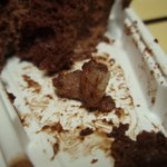 파리바게트 <b>케익</b>에 고무조각이 ...