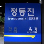 (사진有) 나홀로 정동진 &amp; 양떼목장 나들이!