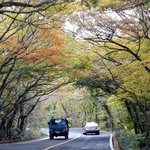 신혼여행 기념 한라산 <b>산행</b>... 첫 눈 오던 날 ♥