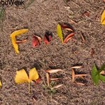 식품박람회 foodweek 가 어느덧 d-2!!!!!!!!!!!