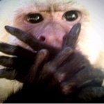 날라온 스팸문자 잘못열었다 요금폭탄....