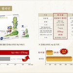 4년근 vs 6년근 진실~ 다섯번째 이야기