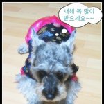 의정부시 가능동 뿌꾸를 찾습니다