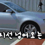 <b>정지선</b> 넘어오면 이렇게 됨=