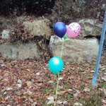 <b>논산</b>훈련소에서 풍선날리신 분!