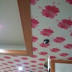 여자사우나 탈의실에 왜 <b>cctv</b>가있을까요??