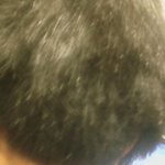 볼륨매직한후 삽살개된 사연