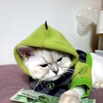 <b>타짜</b> 미실이의 하루