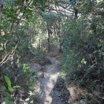 (사진有) 전쟁터 방불케 한 등산기'ㅁ'