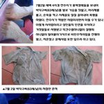 <b>전주시</b>가 주차장 때문에 이럴 수가 있나<1편>