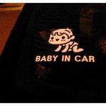 (재밌는 사진)  * 자동차 뒷 <b>유리창</b>에 *