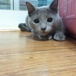 <b>요물</b>과 함께사는 여자?