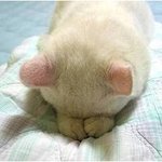 남친이 <b>네비</b>만 보고 운전해요..ㅜㅜ