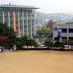 성균관대에 나타난 걸어다니는 <b>나뭇잎</b>들