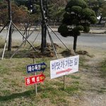 (사진有) 23세남자 혼자 부산 해운대 다녀왔습니다.