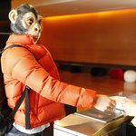(원숭이남) 제 몸매 어때요? 수영장에서 이런 몸매면 최고 아니에요...