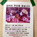 신기한 전단지 (사진有)