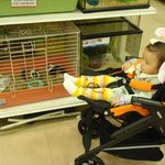 디럭스유모차의 장점? 엄마의 기~인 쇼핑<b>time</b> 에도 숙면취하는 딸.