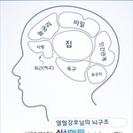 <b>열혈</b>강호의뇌구조를보니..역시..