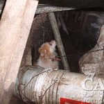 여러분의  도움이 절실합니다.