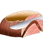 '계란 <b>반숙</b>'을 영어로 뭐라고 하지?