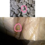 강아지 사료에서 <b>애벌</b>래가 득실득실