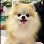 골목길에서 <b>일진</b>들이랑 옥신각신한 내 사연