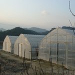 <실화> 퍅셔내 - <b>버섯</b> 종균작업장 [2]