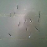 [사진첨부]여자얼굴에 칼자국을 내놓고도..