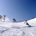 아 놔 비발디<b>파크</b> 갈생각하니 선덕선덕