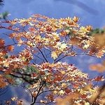 우리 가족 건강 지킴이는 <b>lg</b> 트롬세탁기랍니다^^