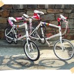 할부가 끝나지 않은 채 도난당한 저의 애마'티티카카'를 찾습니다...