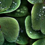 사회복지&amp;보육교사