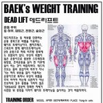 ]  등근육 만들기!!!! 등<b>하부</b> 대퇴근 편!!! 데드리프트!!