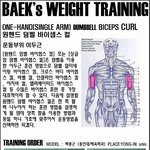 프로젝트 ]  팔근육 만들기!!!! 상완 이두근 편!!!  <b>덤벨</b> 컬!!