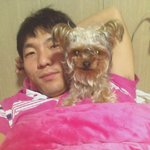 (<b>울산</b>)강아지를 찾아 주세요