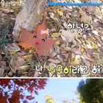 낙순일기(세상에있는<b>낙엽</b>친구들에게전합니다.)