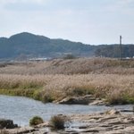 홀로 떠난 <b>배낭</b>여행 (사진有)