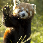 듣지도 보지도 못했던 신기한 <b>동물</b>들