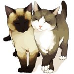 (사진有)남자친구를 위한 감동 티셔츠 선물